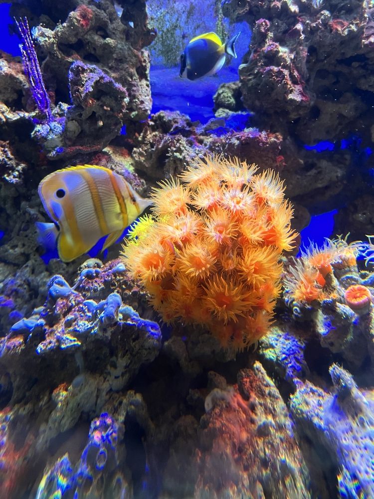 Photograph by Кира