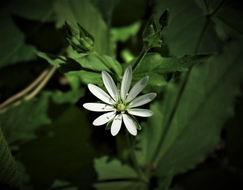 Photograph by Марина Раткун