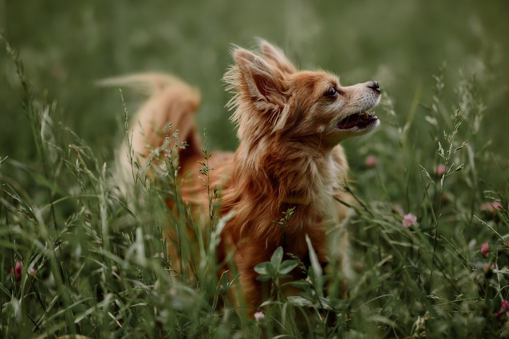 Photograph by Ольга Шульгина