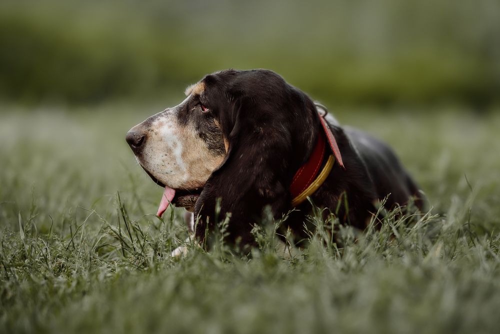 Photograph by Ольга Шульгина