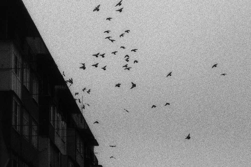 Photograph by Сергей Удовиченко