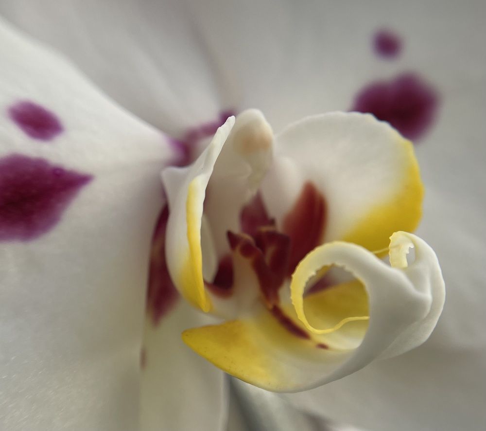 Photograph by Татьяна Раковская