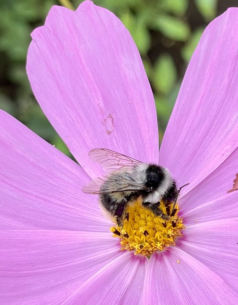 Photograph by Татьяна Раковская