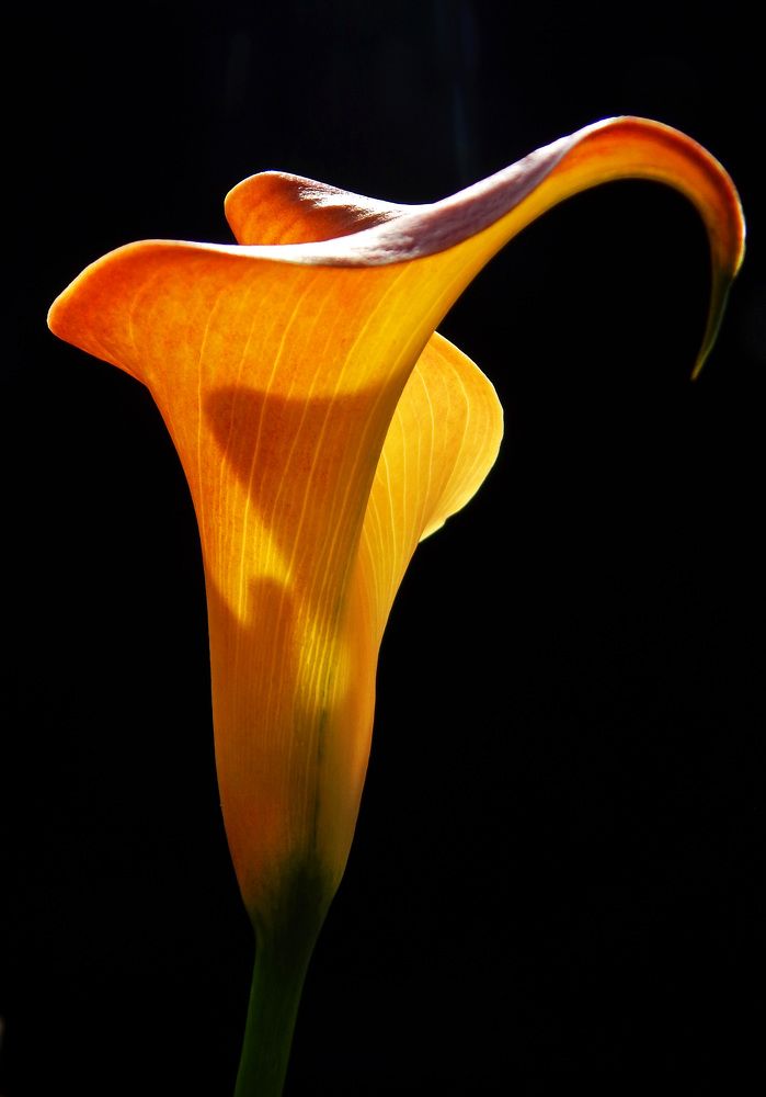 Photograph by Наталья Соколова