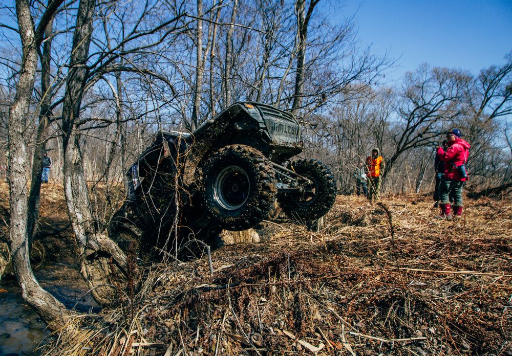 Photograph by Зинаида Дрим