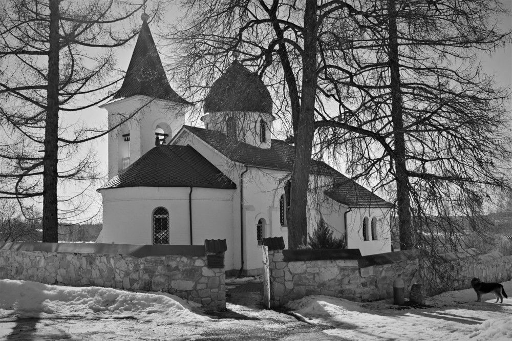 Фотография автора IRINA FILIPPOVA