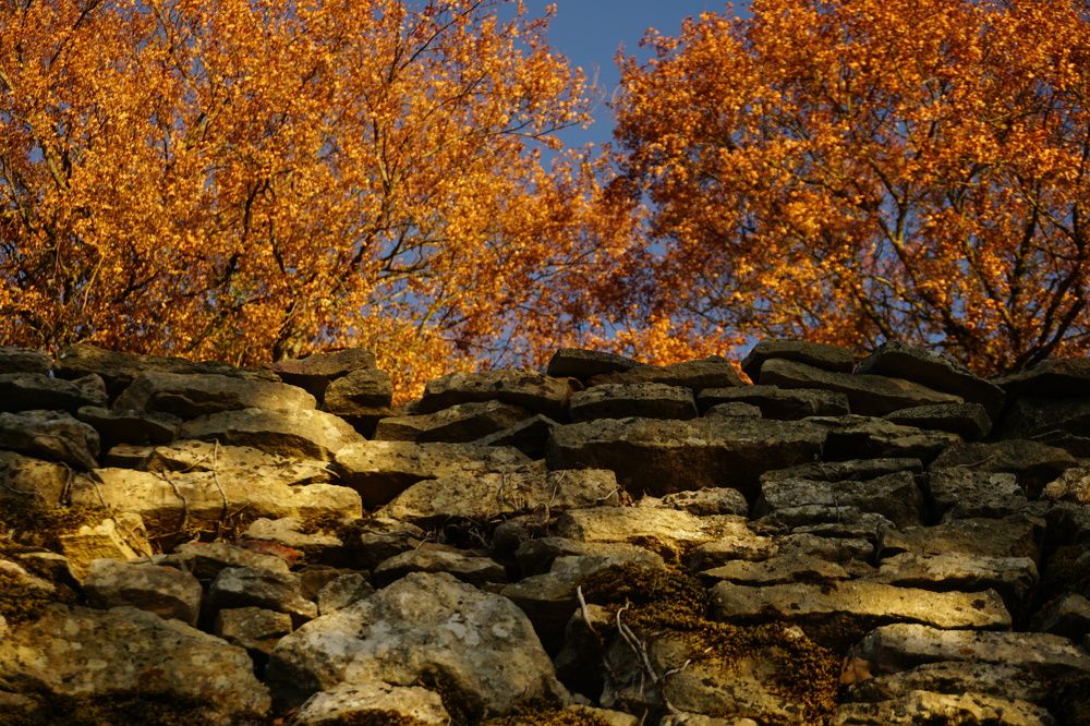 Photograph by Анастасия Морозова