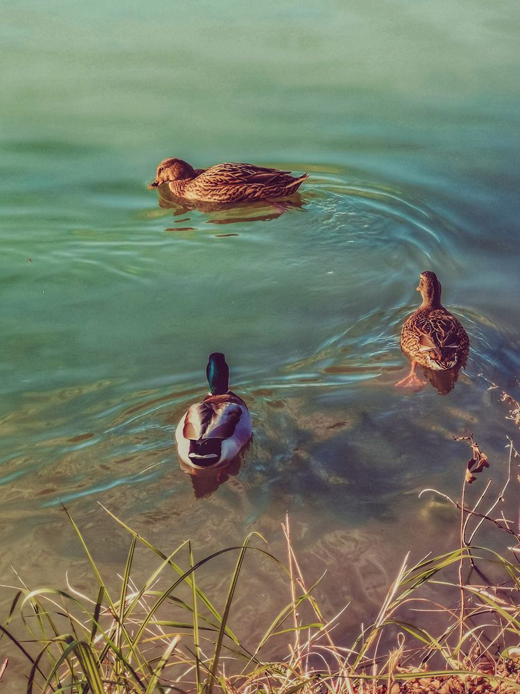 Photograph by Анастасия Белогурова