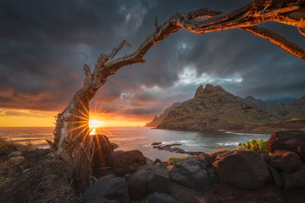 Photograph by Paolo Gabriele Maiero