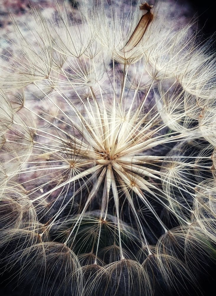 Photograph by Татьяна Сычева