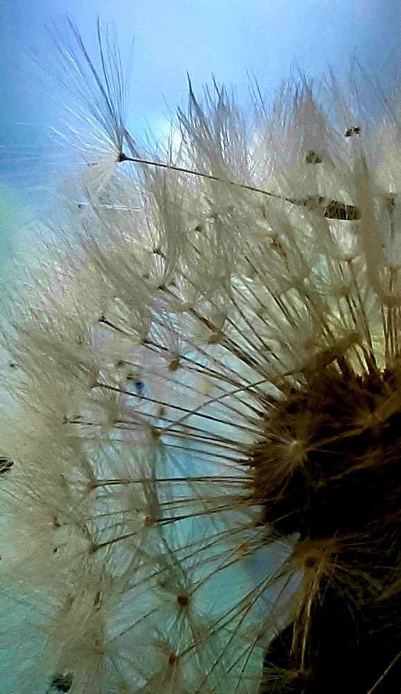 Photograph by Olga Александрова