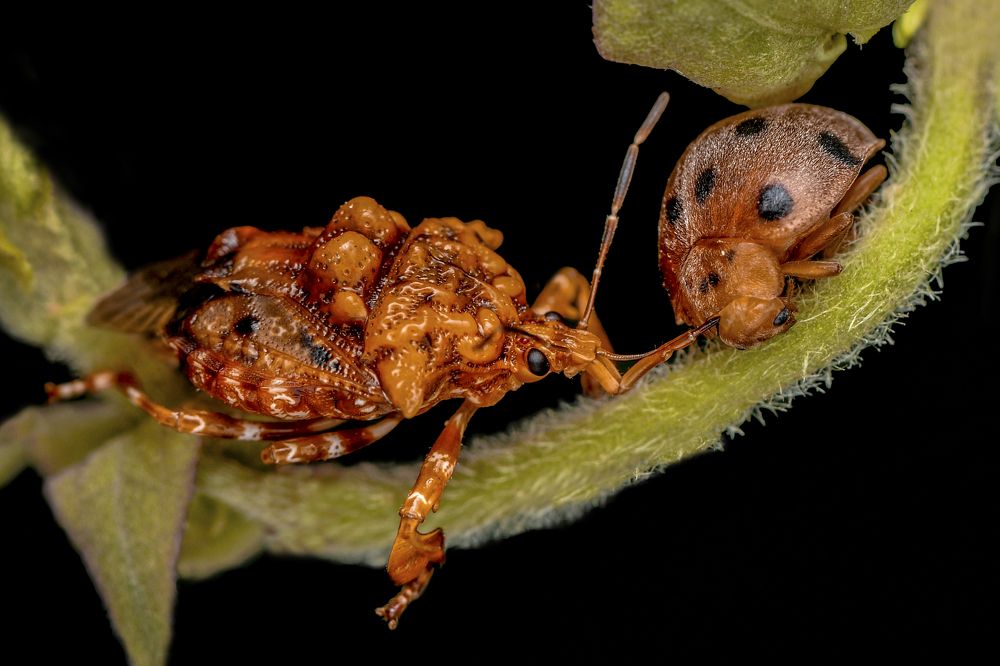 Photograph by ARUNAVA DEY