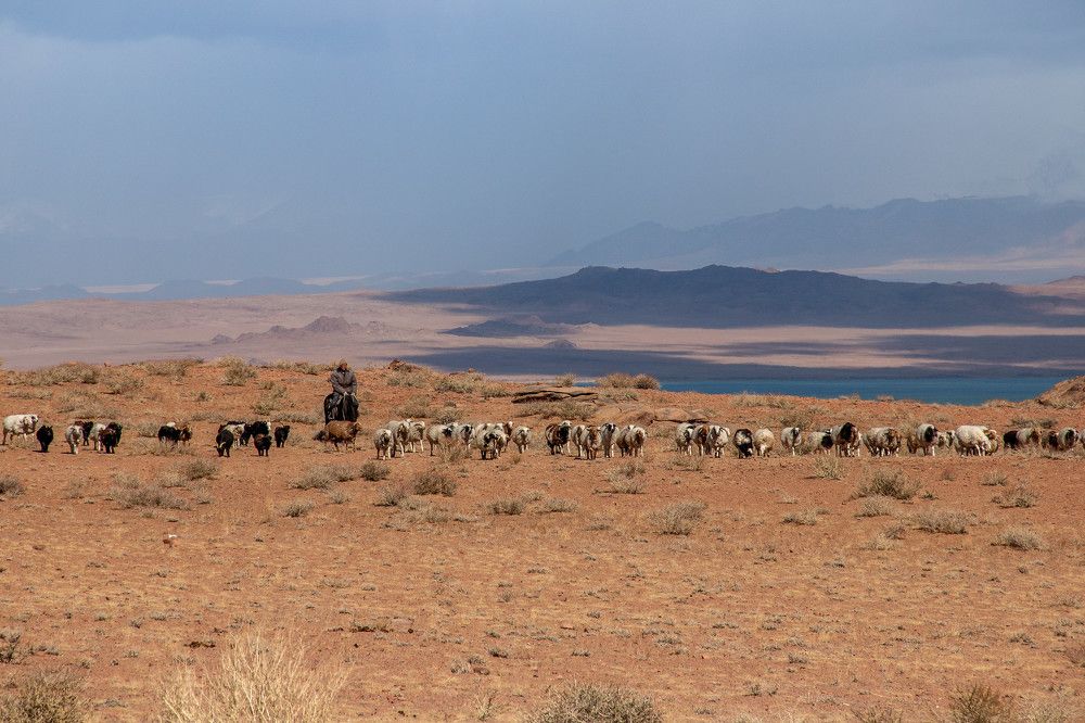 Photograph by Svetlana Dorokhova