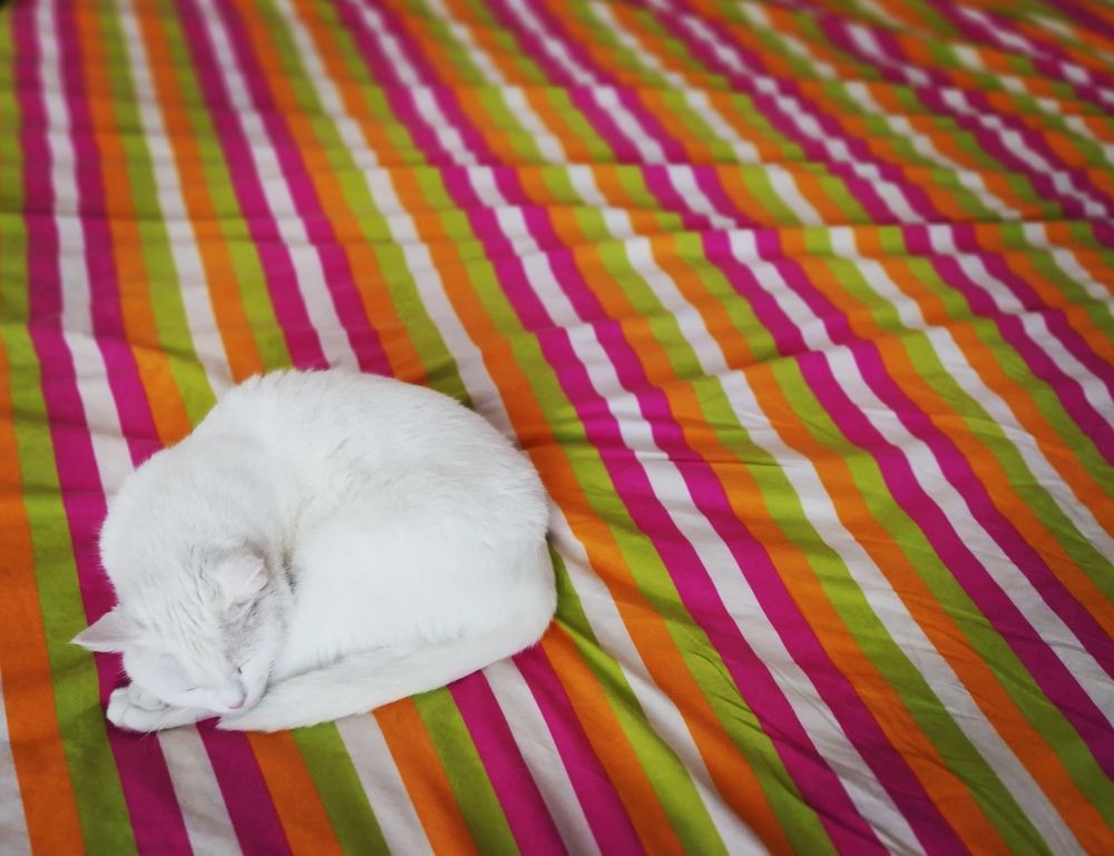 Photograph by Иван Шатный