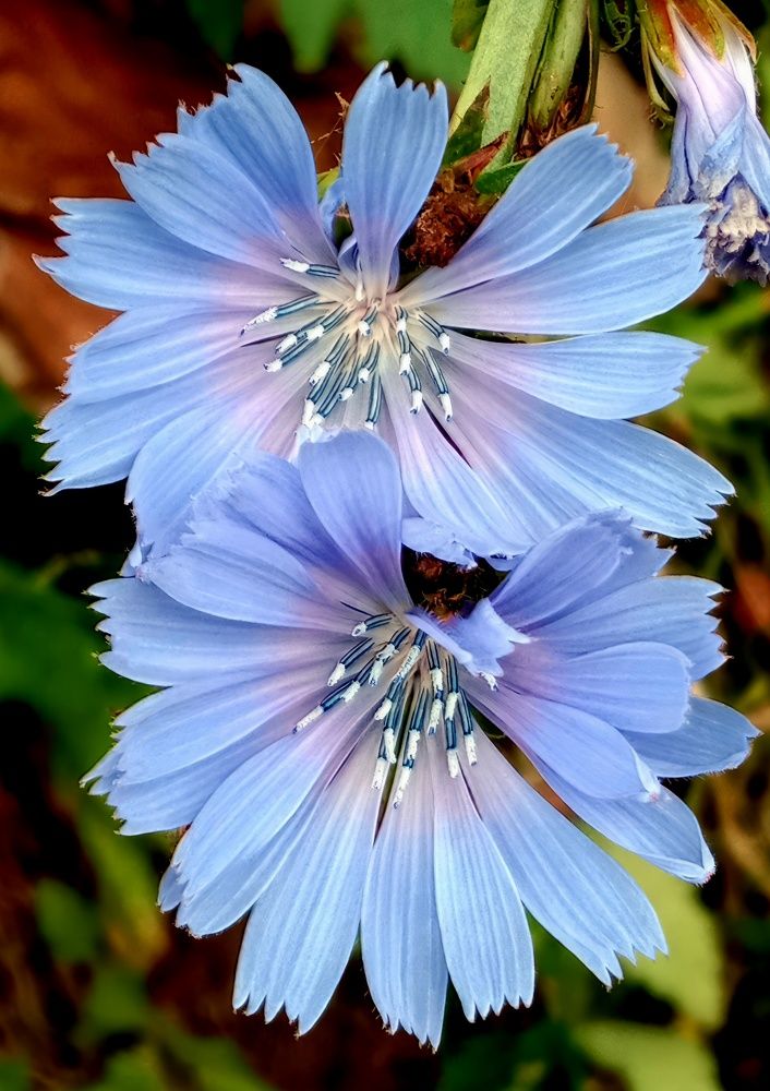 Photograph by Глеб Кузьминых