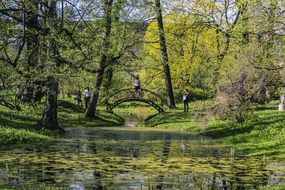Photograph by Сергей Нестеров