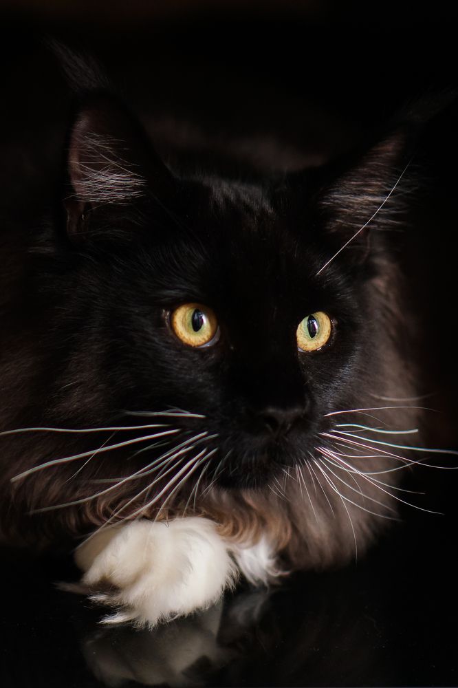 Photograph by Татьяна Ластовская