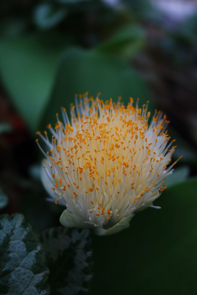 Photograph by Светлана Шуткова