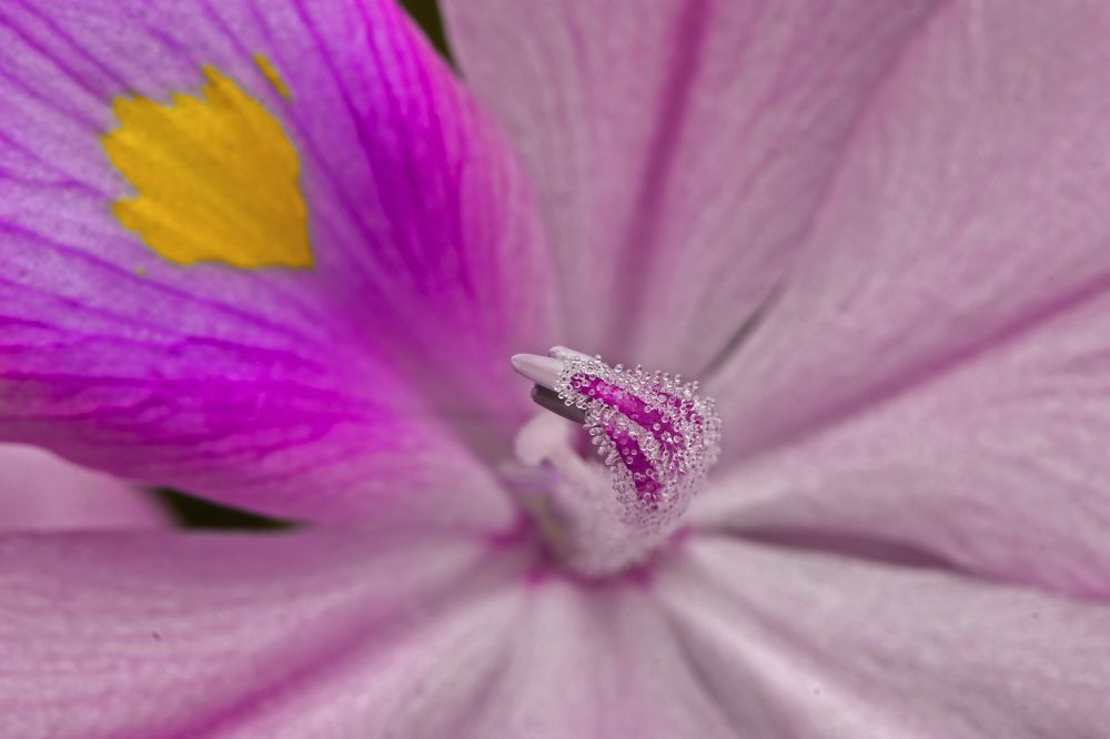 Photograph by ARUNAVA DEY