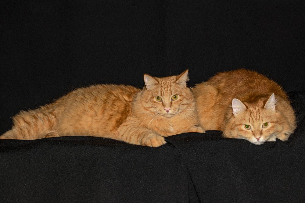 Photograph by Валерий Шорохов