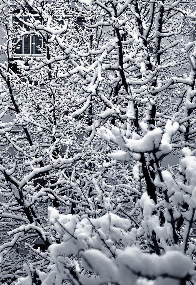 Photograph by Александр Зарх