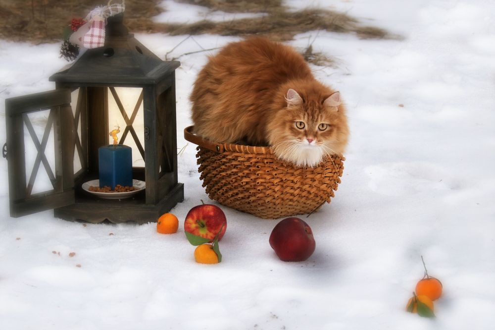 Photograph by Валерий Шорохов