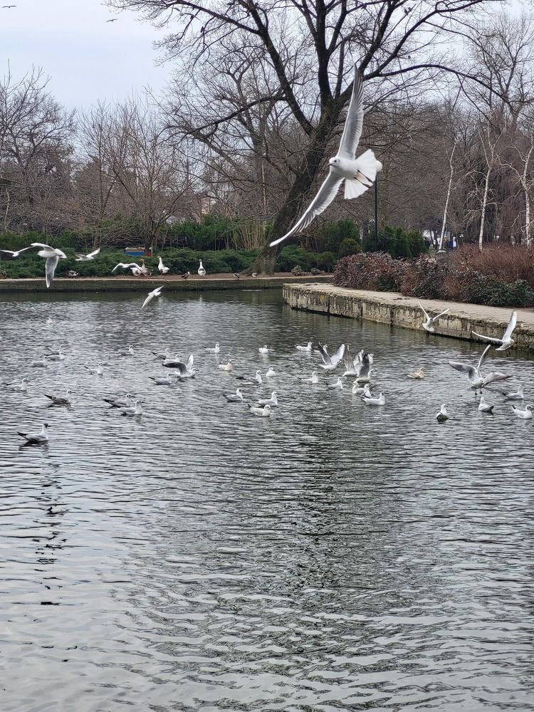 Photograph by Дмитрий Лобанов