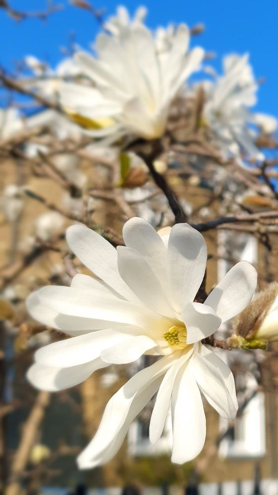 Фотография автора Angun Angusha