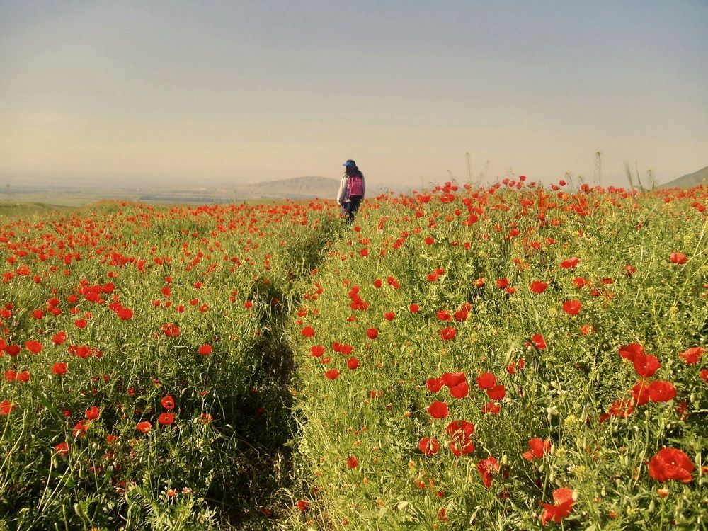 Photograph by Елена Ким