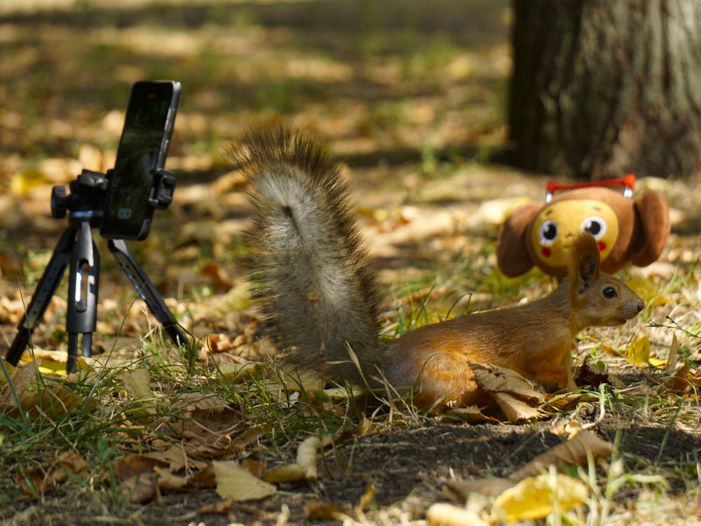 Photograph by Дмитрий Лобанов