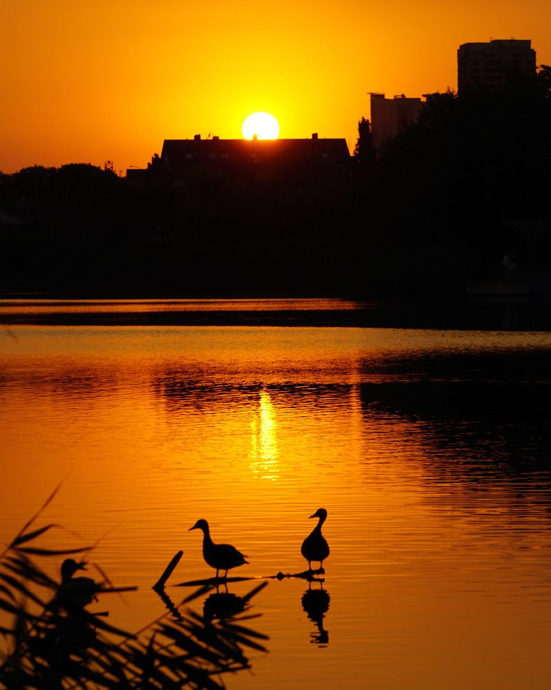 Photograph by Дмитрий Лобанов