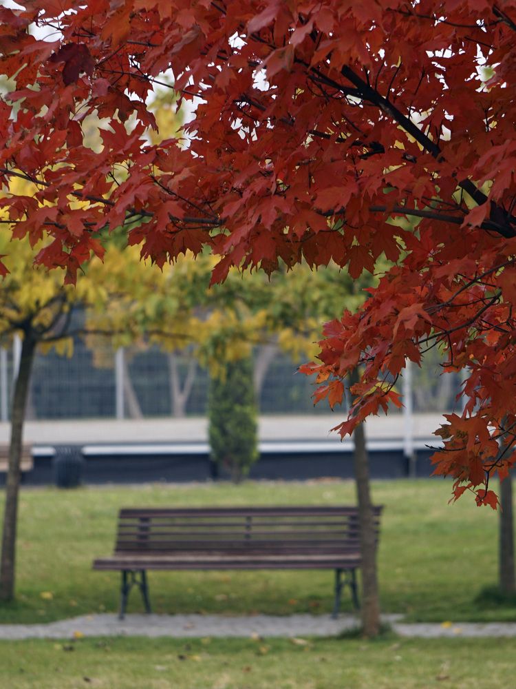 Photograph by Дмитрий Лобанов