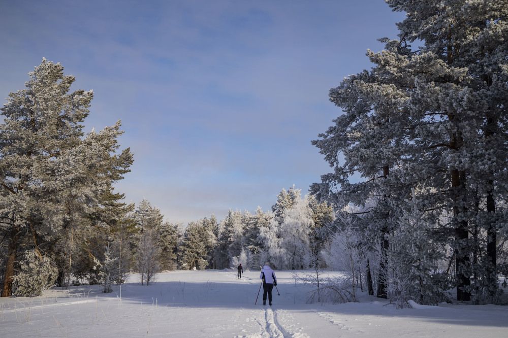 Photograph by Елена Перминова