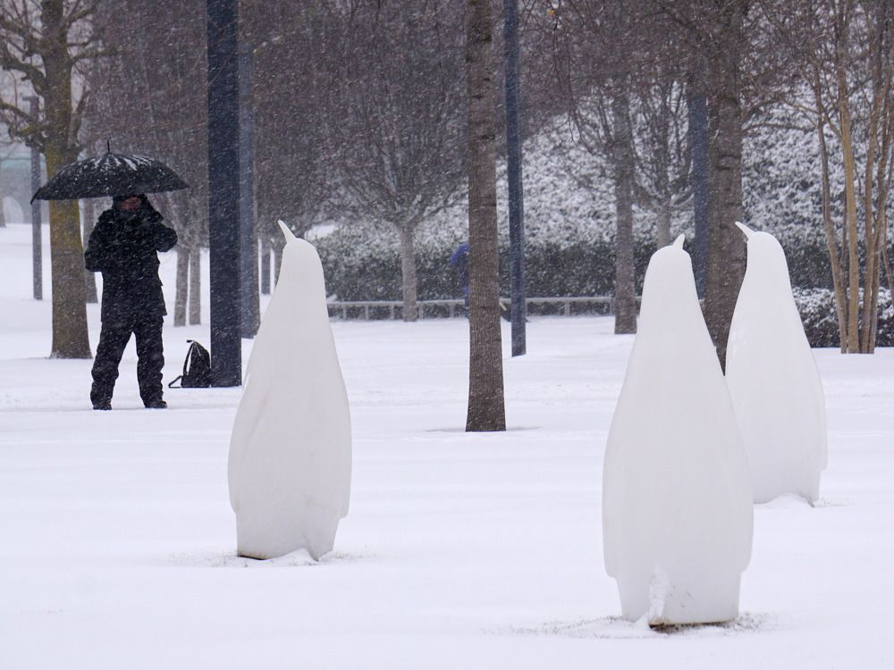 Photograph by Дмитрий Лобанов