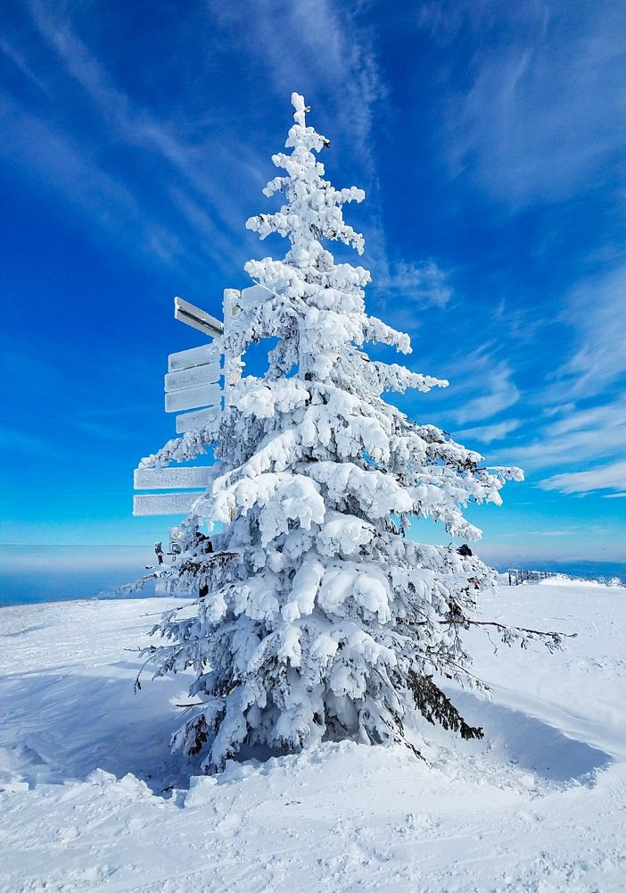 Photograph by Сергей Кесаев