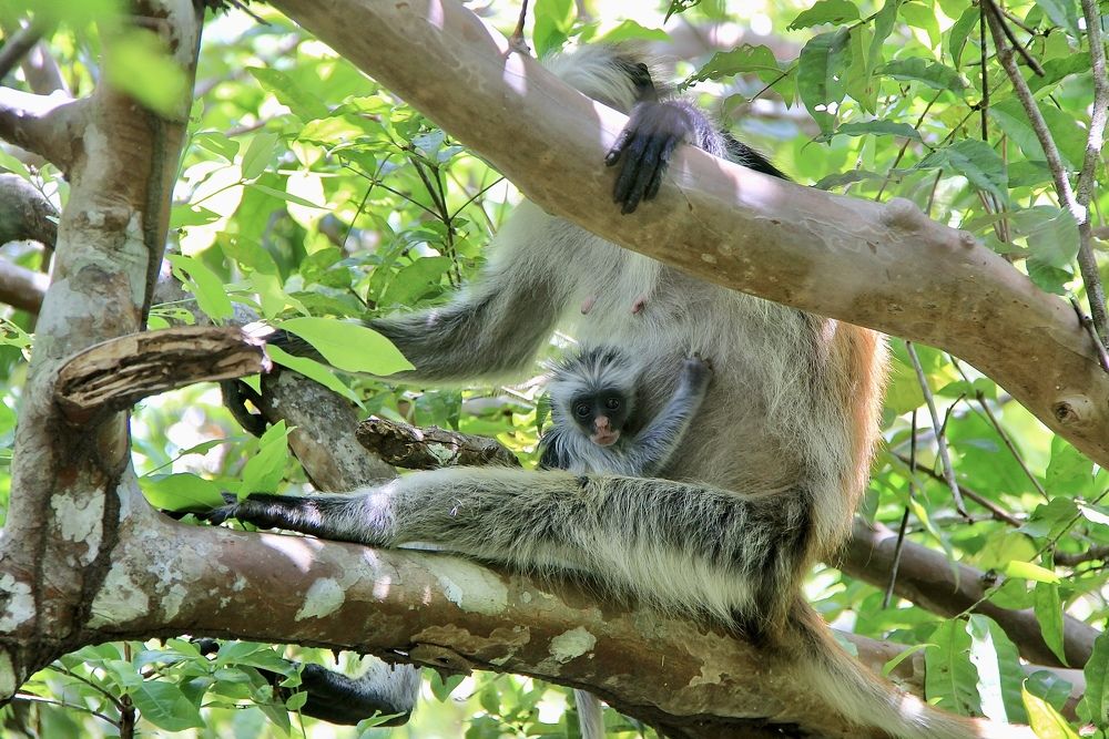 Photograph by Олег Банковский