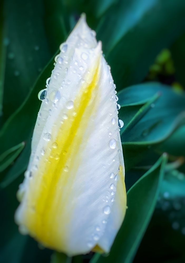 Photograph by Ольга Скиба