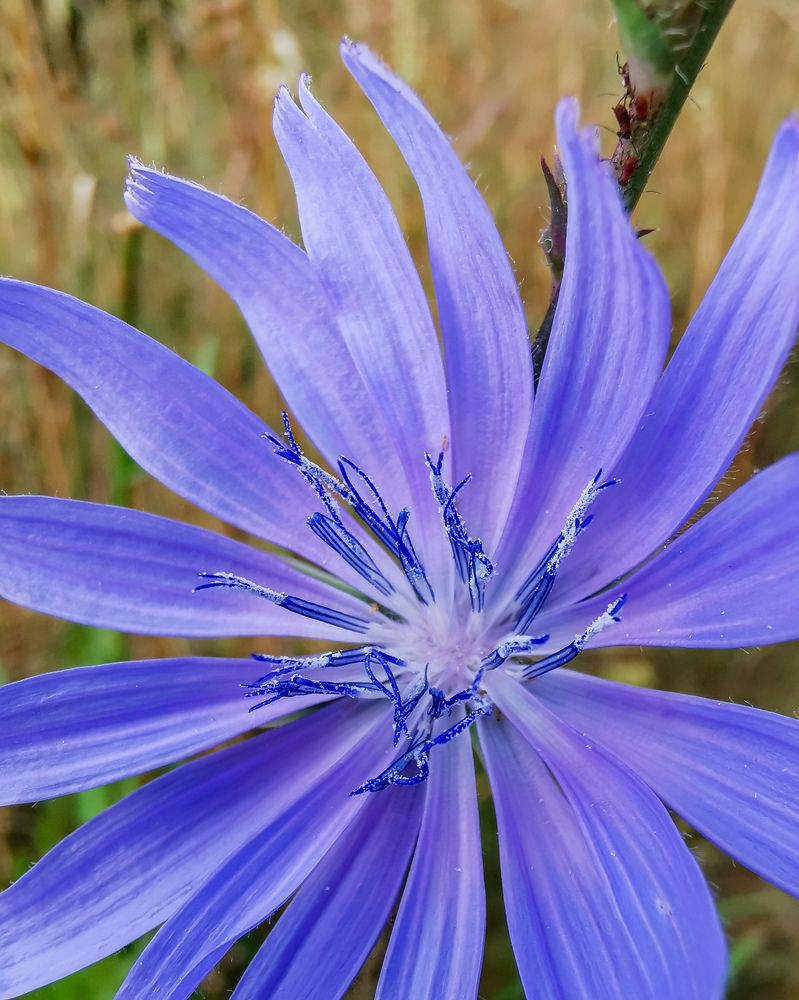 Фотография автора Дмитрий