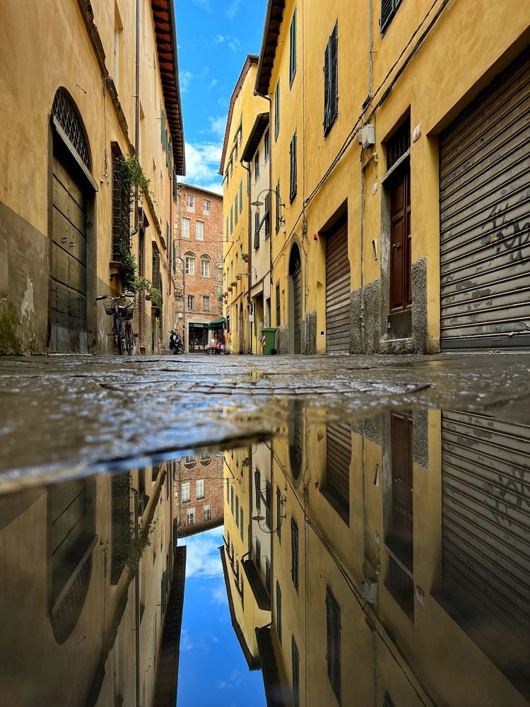 Photograph by Alexander Siemens