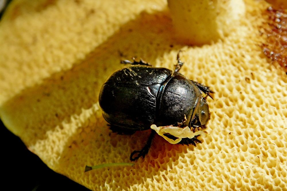 Photograph by Дмитрий Симагин