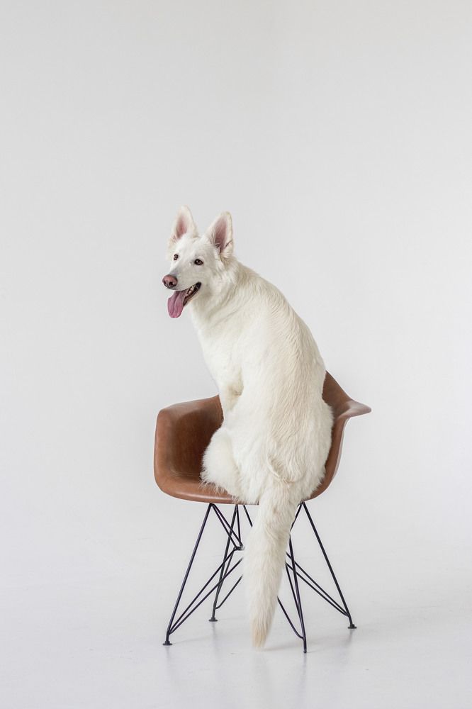 Фотография автора Екатерина Атавина