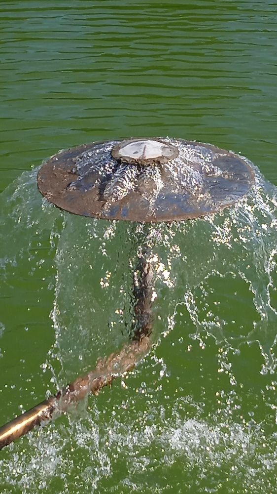 Photograph by Наталия Колемасова