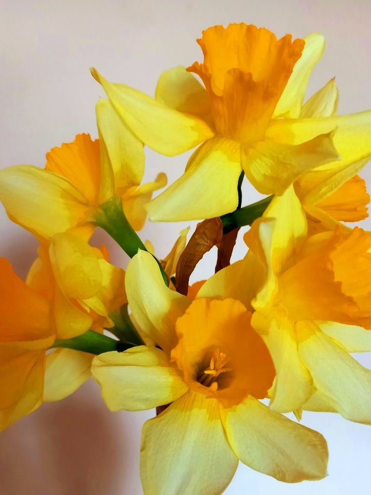 Photograph by Ольга Юрченко