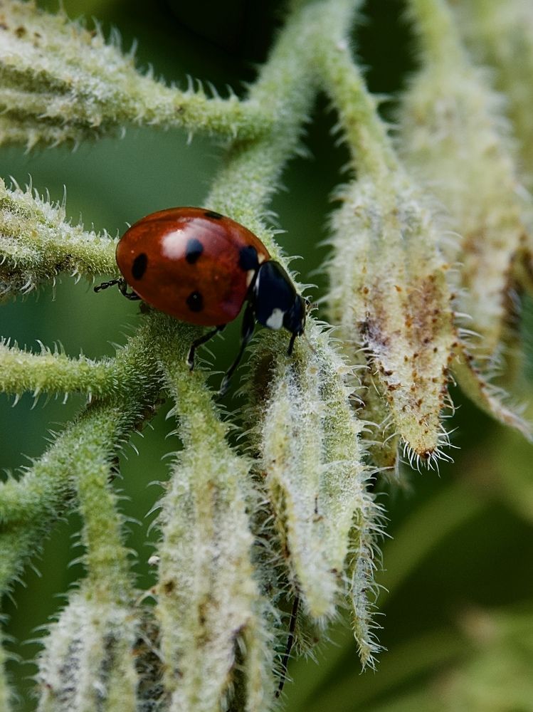 Photograph by Светлана Георкова