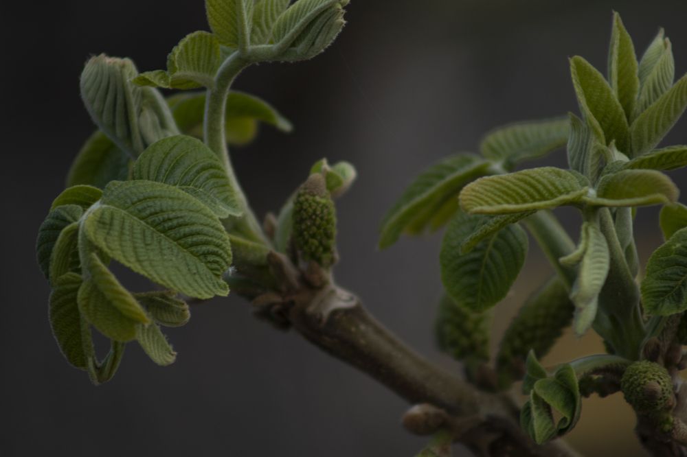 Photograph by Светлана Тарханова