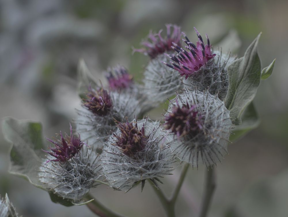 Photograph by Светлана Тарханова