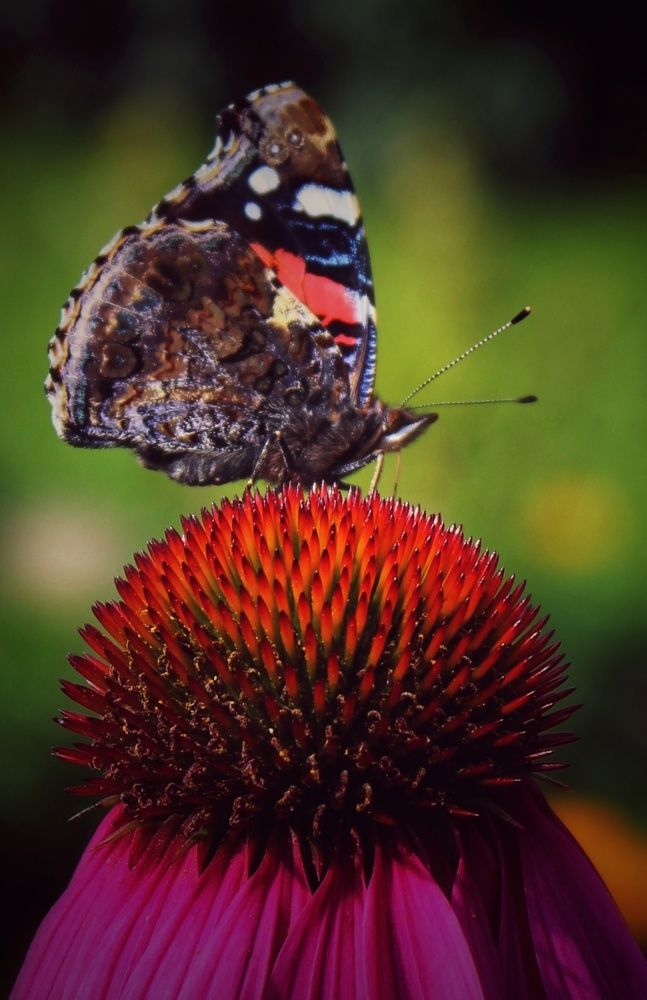 Photograph by Татьяна Сычева