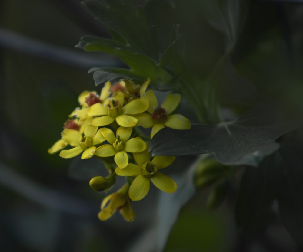 Photograph by Светлана Тарханова