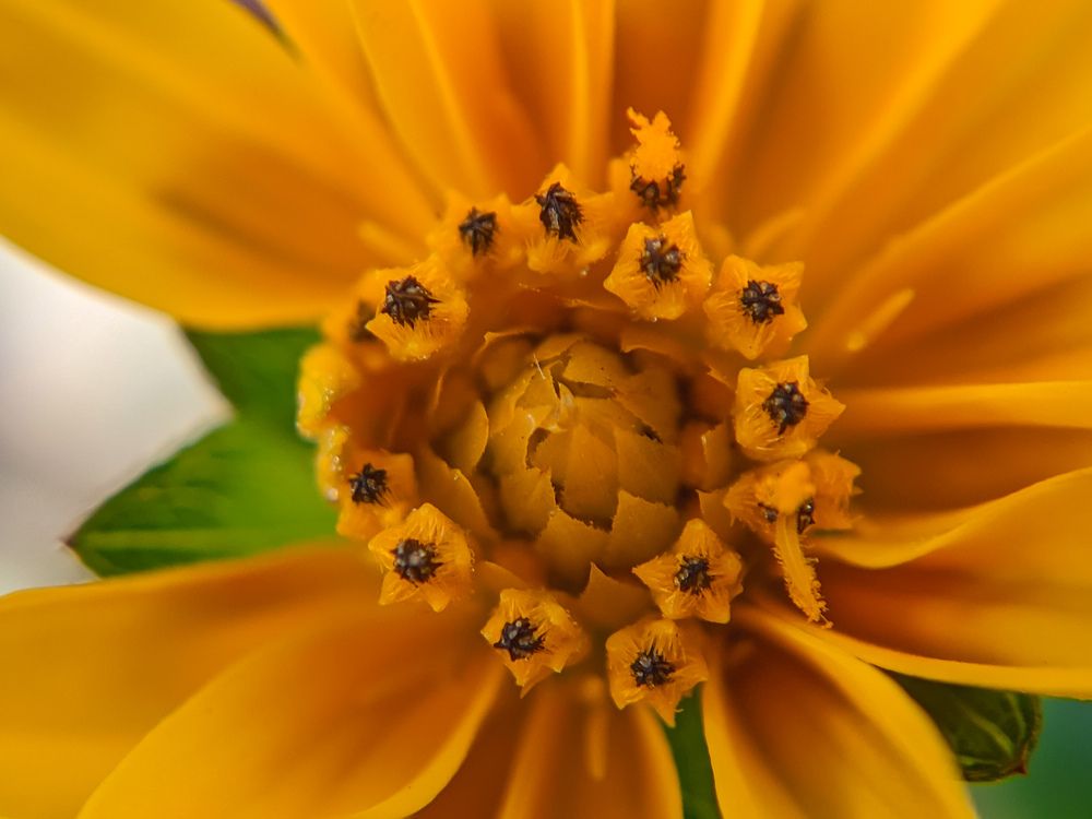 Photograph by Vijayakumar