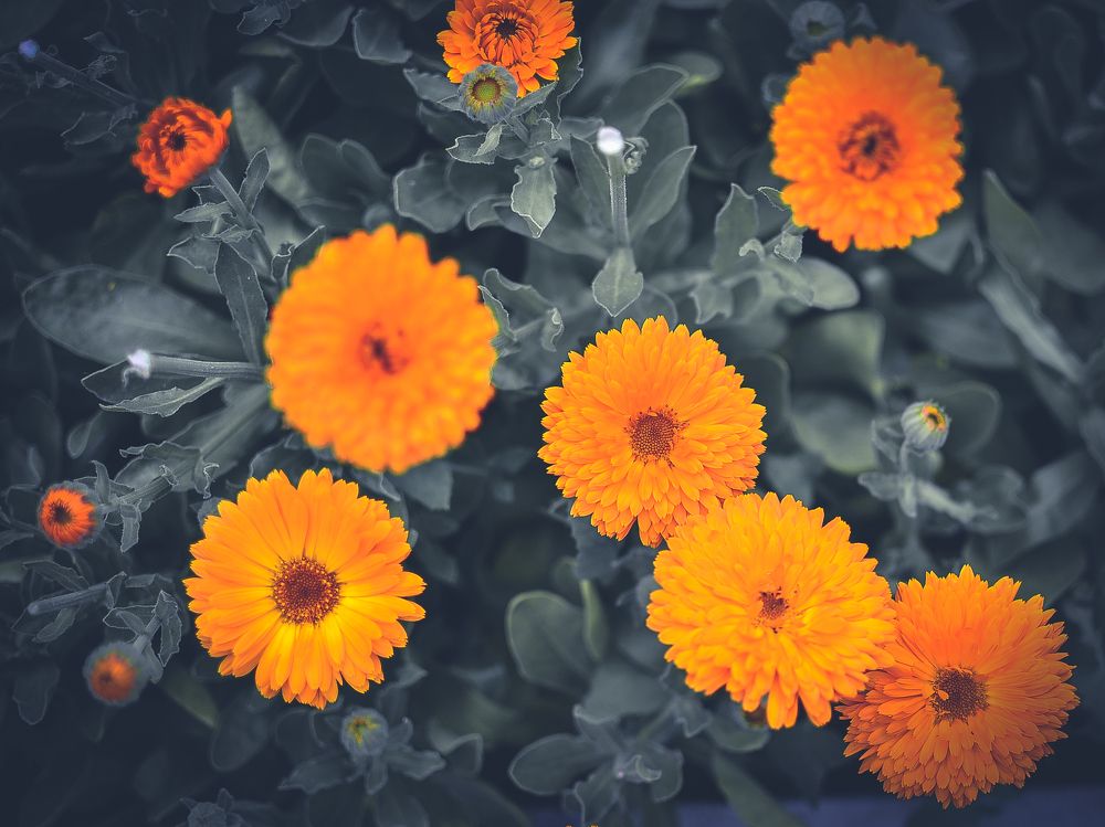 Photograph by Глухарев Сергей